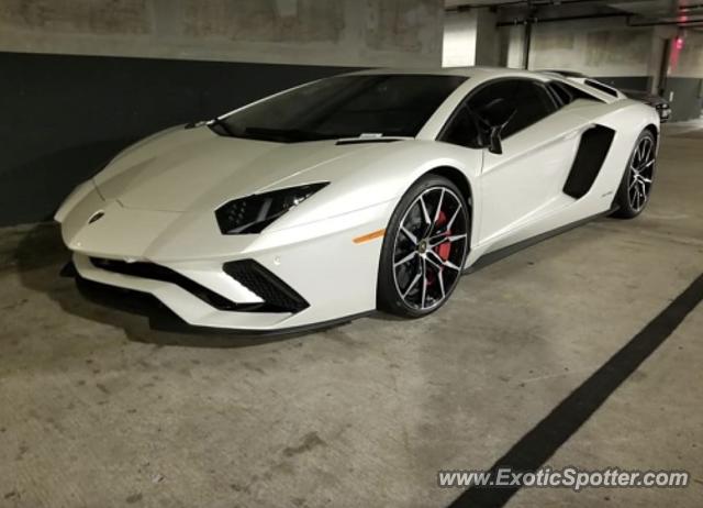 Lamborghini Aventador spotted in Honolulu, Hawaii