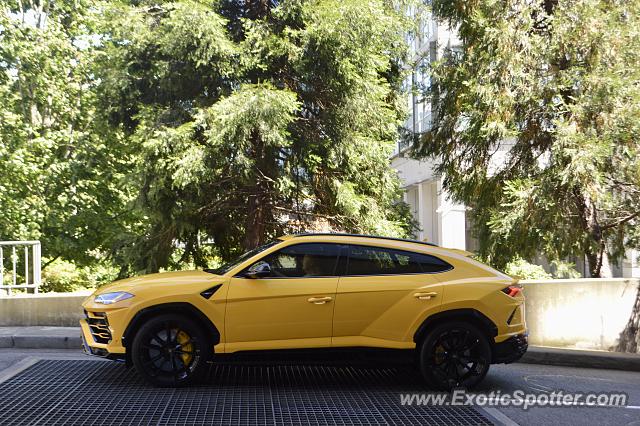 Lamborghini Urus spotted in Bellevue, Washington