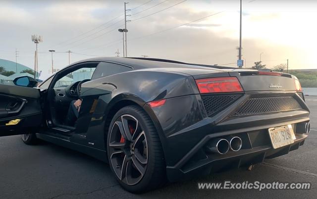 Lamborghini Gallardo spotted in Honolulu, Hawaii