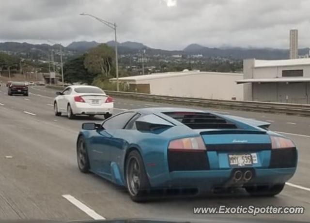 Lamborghini Murcielago spotted in Honolulu, Hawaii
