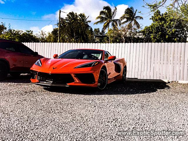 Chevrolet Corvette Z06 spotted in Key West, Florida