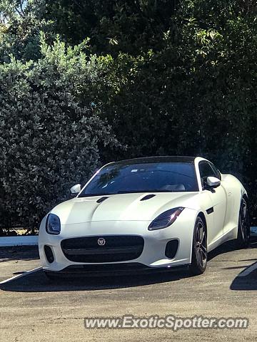 Jaguar F-Type spotted in Marathon, Florida