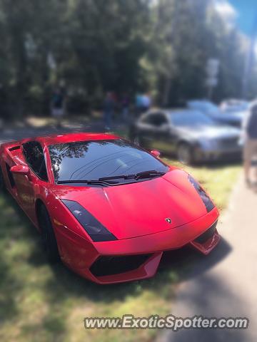 Lamborghini Gallardo spotted in Amelia Island, Florida