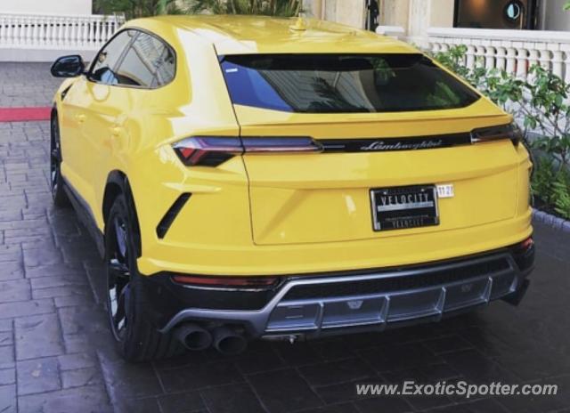 Lamborghini Urus spotted in Honolulu, Hawaii