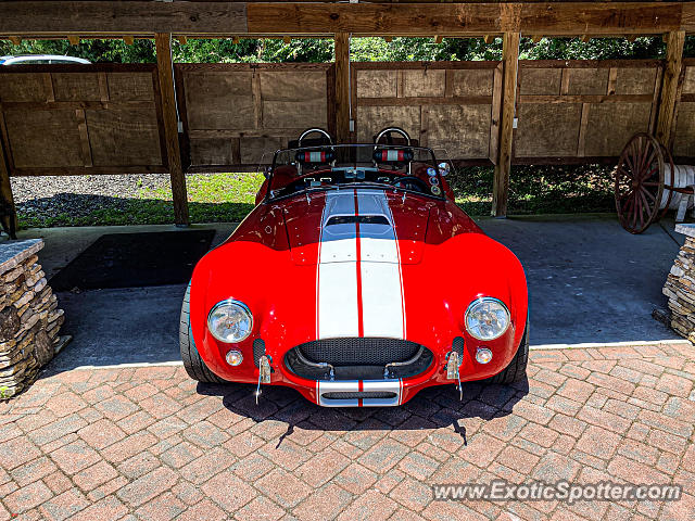 Other Kit Car spotted in Tapoco Lodge, North Carolina
