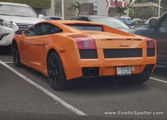 Lamborghini Gallardo spotted in Honolulu, Hawaii