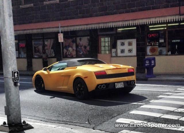 Lamborghini Gallardo spotted in Honolulu, Hawaii