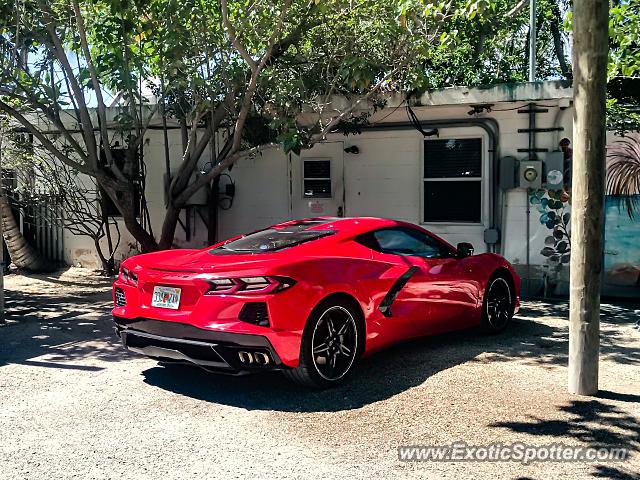 Chevrolet Corvette Z06 spotted in The keys, Florida