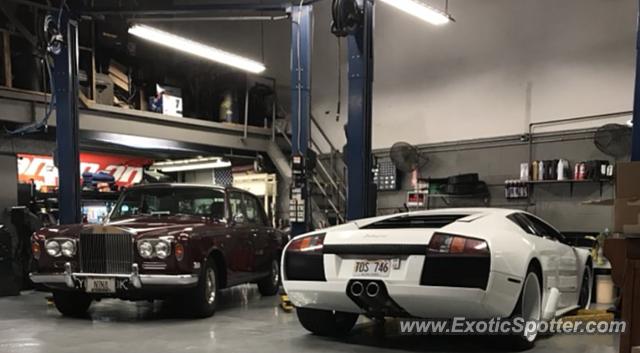 Lamborghini Murcielago spotted in Honolulu, Hawaii
