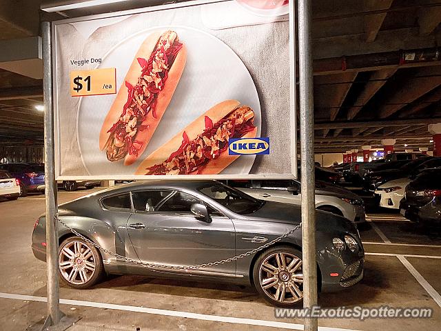 Bentley Continental spotted in Palo Alto, California