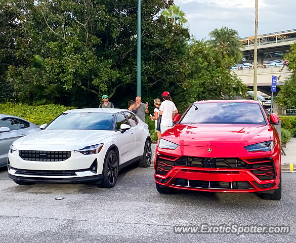 Lamborghini Urus spotted in Orlando, Florida