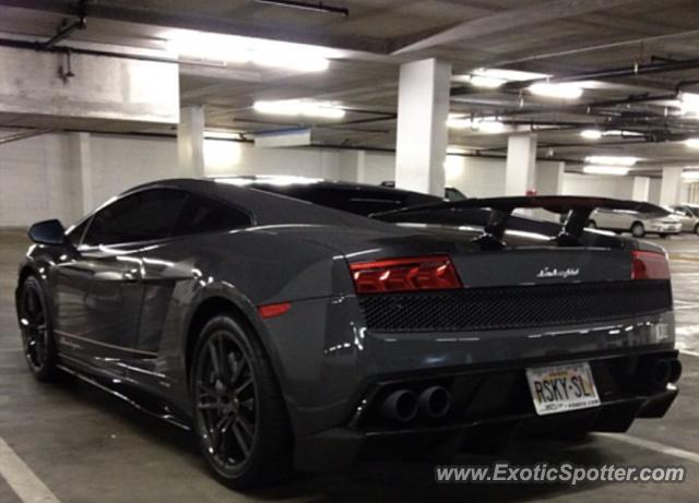 Lamborghini Gallardo spotted in Honolulu, Hawaii