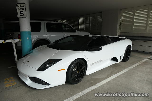 Lamborghini Murcielago spotted in Monterey, California