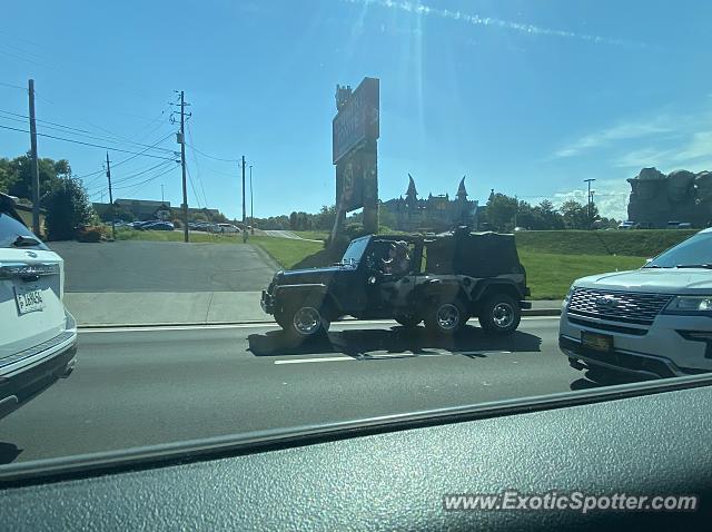 Other Other spotted in Pigeon Forge, Tennessee