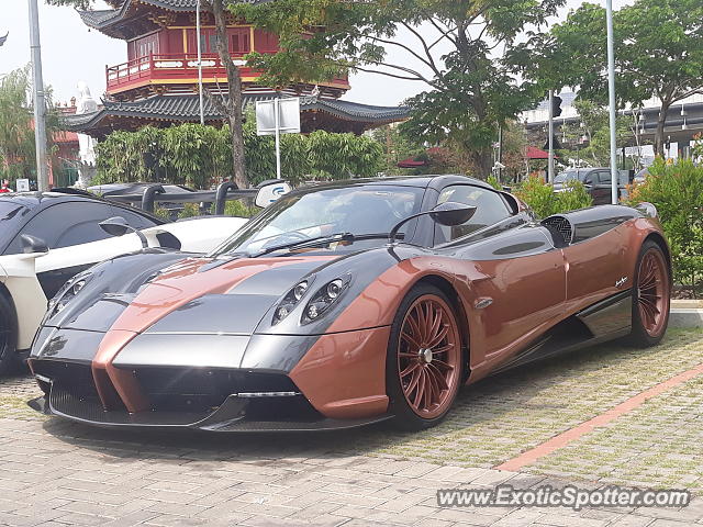 [http://www.exoticspotter.com/images/266/265169.jpg]