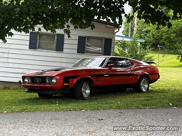 Other Vintage spotted in Whitehall, West Virginia