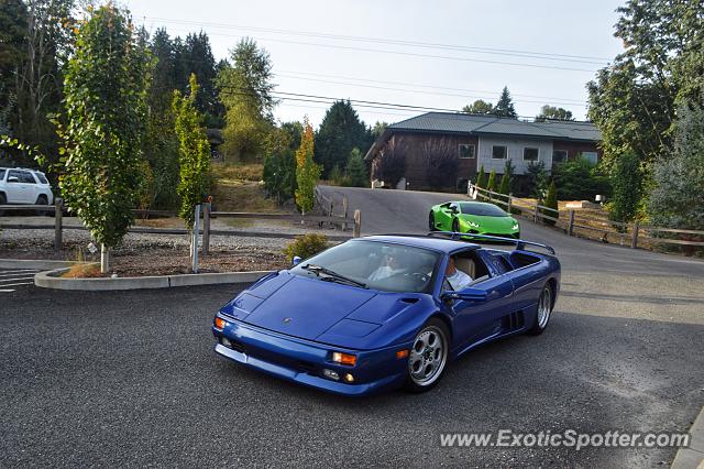 Lamborghini Diablo spotted in Bothell, Washington