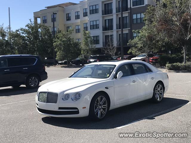 Bentley Flying Spur spotted in Jacksonville, Florida