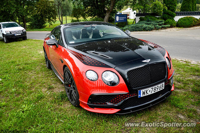 Bentley Continental spotted in Binowo, Poland