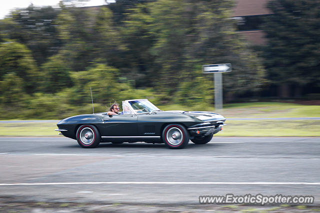 Chevrolet Corvette Z06 spotted in Jacksonville, Florida