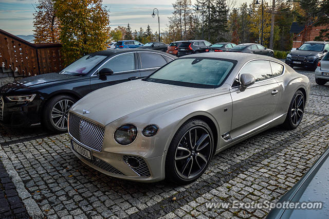 Bentley Continental spotted in Karpacz, Poland