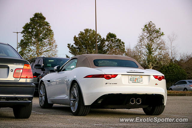 Jaguar F-Type spotted in Jacksonville, Florida