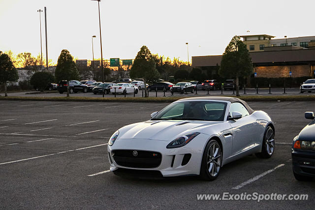 Jaguar F-Type spotted in Jacksonville, Florida