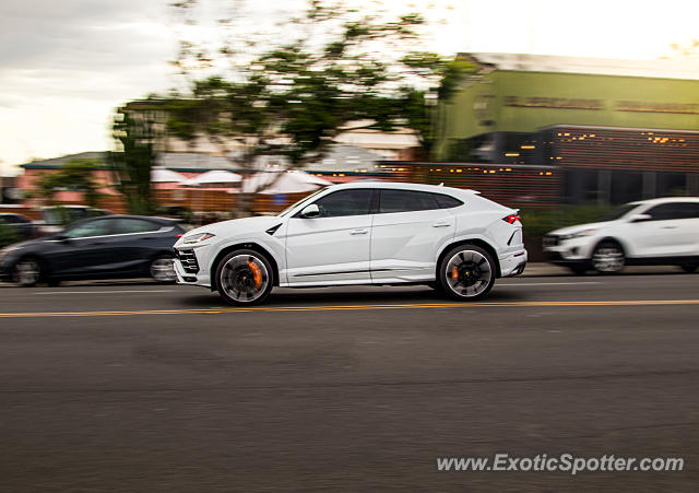 Lamborghini Urus spotted in La Jolla, California