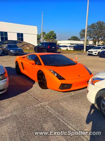 Lamborghini Gallardo spotted in Venice, Florida