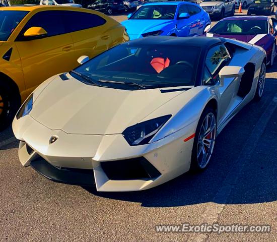 Lamborghini Aventador spotted in Venice, Florida