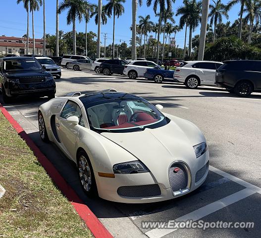 Bugatti Veyron spotted in Palm Beach, Florida