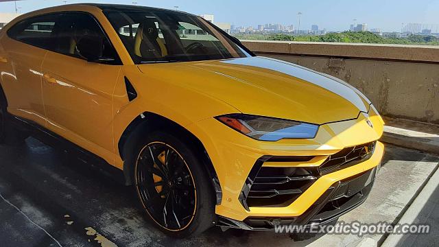 Lamborghini Urus spotted in Miami, Florida