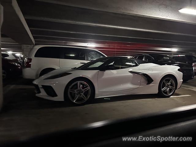 Chevrolet Corvette Z06 spotted in Orlando, Florida
