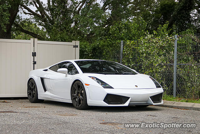 Lamborghini Gallardo spotted in Jacksonville, Florida