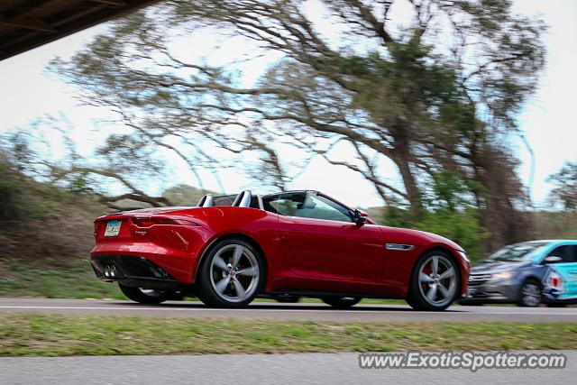 Jaguar F-Type spotted in Amelia Island, Florida