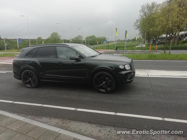 Bentley Bentayga spotted in Papendrecht, Netherlands