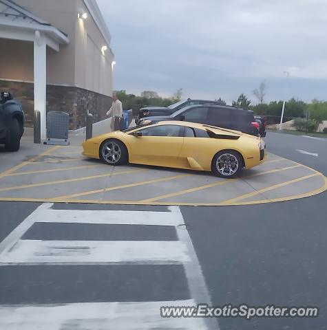 Lamborghini Murcielago spotted in Toms river, New Jersey