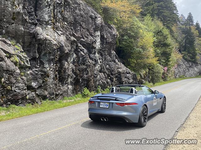 Jaguar F-Type spotted in Pisgah Forest, North Carolina