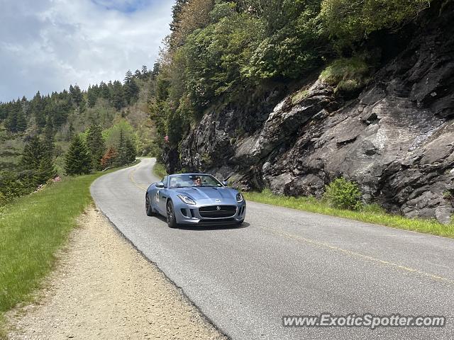 Jaguar F-Type spotted in Pisgah Forest, North Carolina