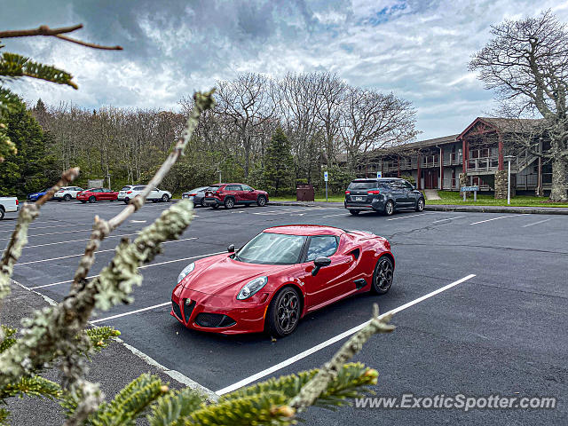 Alfa Romeo 4C spotted in Pisgah Inn, North Carolina