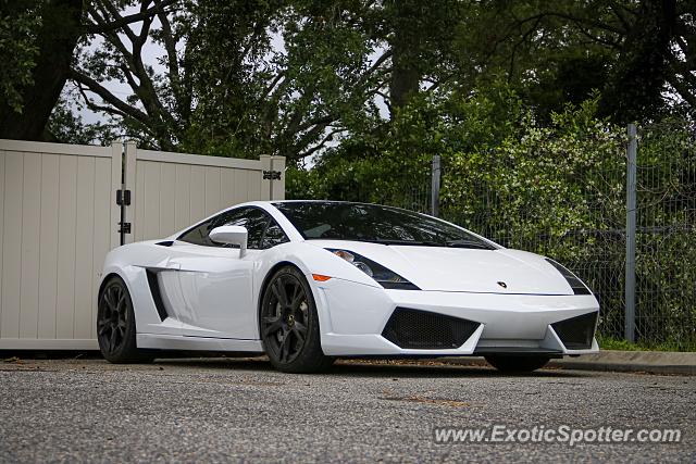 Lamborghini Gallardo spotted in Jacksonville, Florida