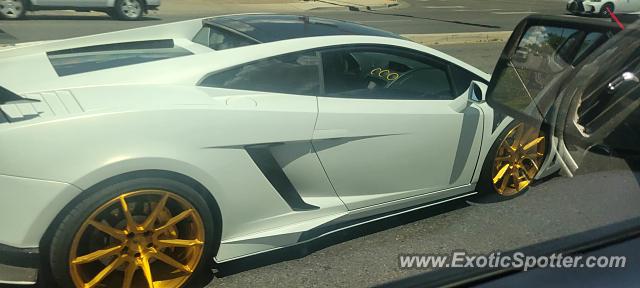 Lamborghini Gallardo spotted in Los lunas, New Mexico