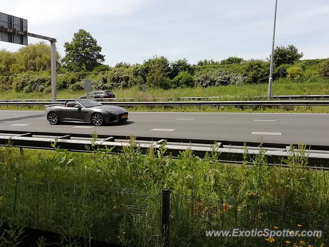 Jaguar F-Type spotted in Papendrecht, Netherlands