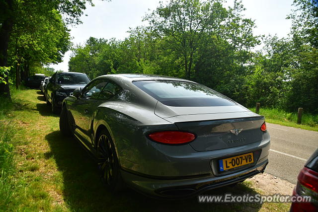 Bentley Continental spotted in Well (Li), Netherlands
