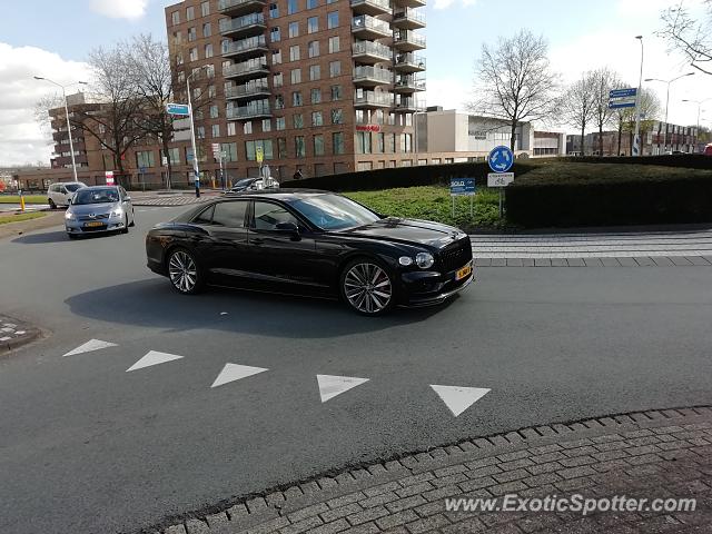 Bentley Flying Spur spotted in Papendrecht, Netherlands