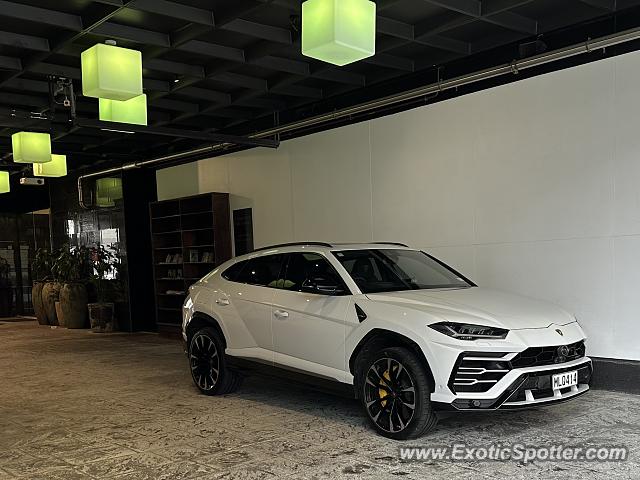 Lamborghini Urus spotted in Auckland, New Zealand
