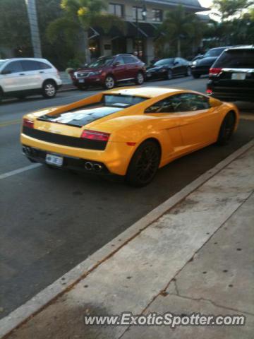 Lamborghini Gallardo spotted in Naples, United States
