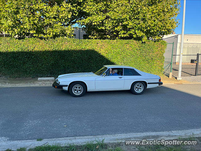 Other Vintage spotted in Boortmeerbeek, Belgium