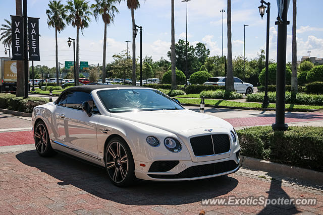 Bentley Continental spotted in Jacksonville, Florida