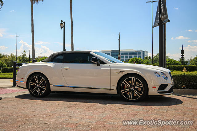 Bentley Continental spotted in Jacksonville, Florida